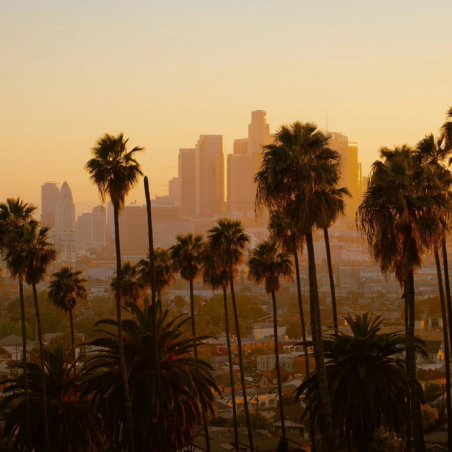 California Consumer Legal Funding Law